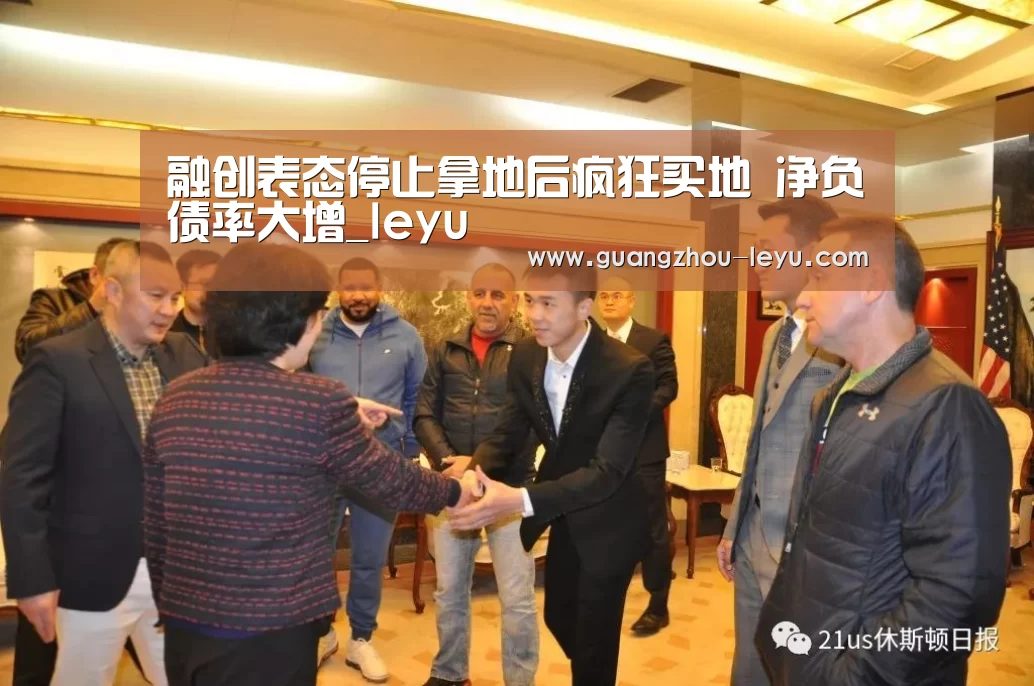 融创表态停止拿地后疯狂买地 净负债率大增_leyu(图3) 乐鱼体育